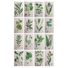 Decorative Art