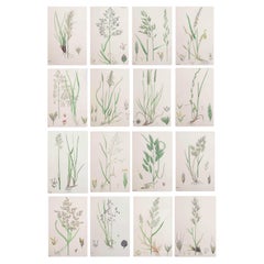 Art Decor di carta