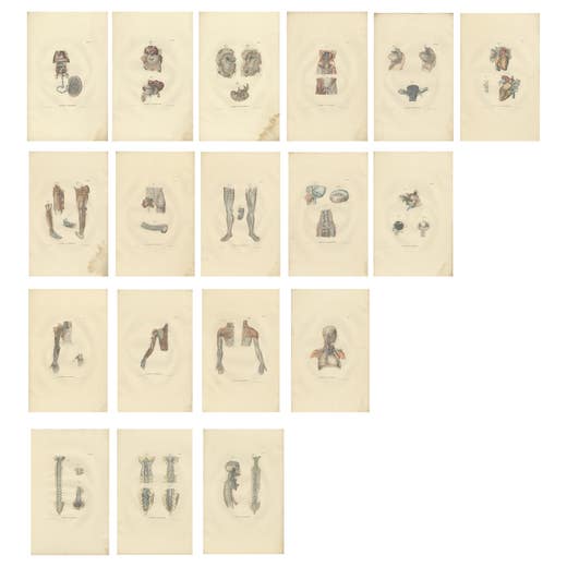 Set of 18 Antique Anatomy Prints of Blood Vessels, 1839