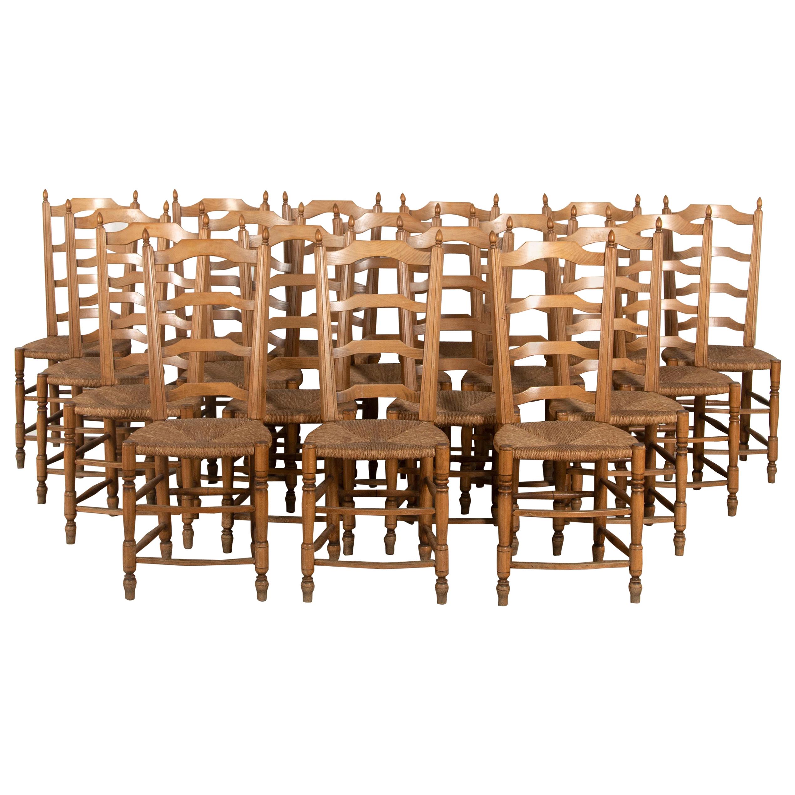 Set of 18 Fruitwood Dining Chairs