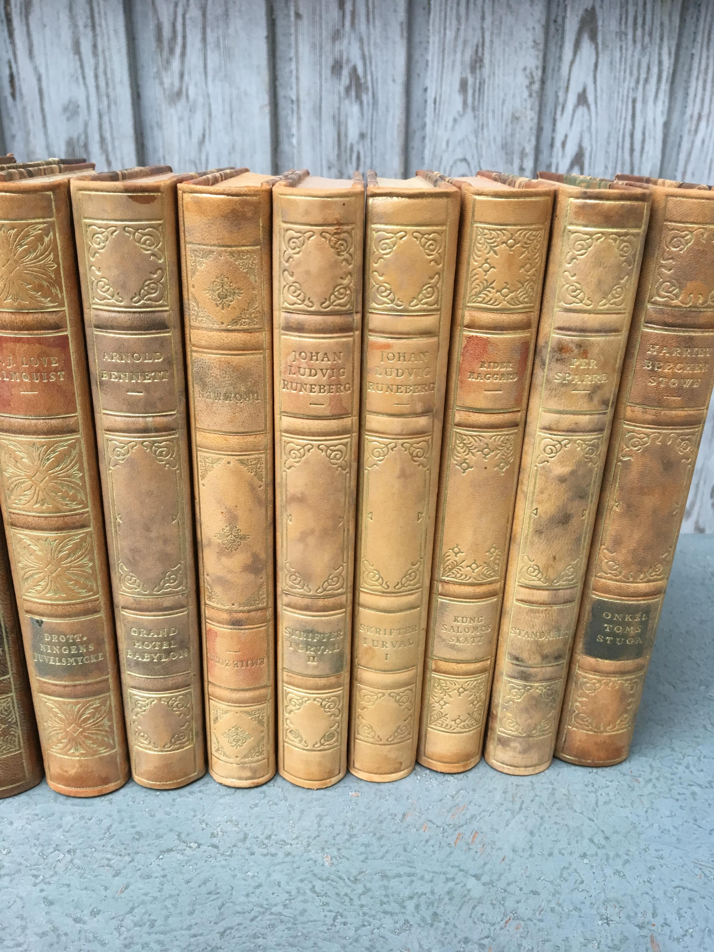 Set of 18 Swedish Leather-Bound Library Books from 1928 3