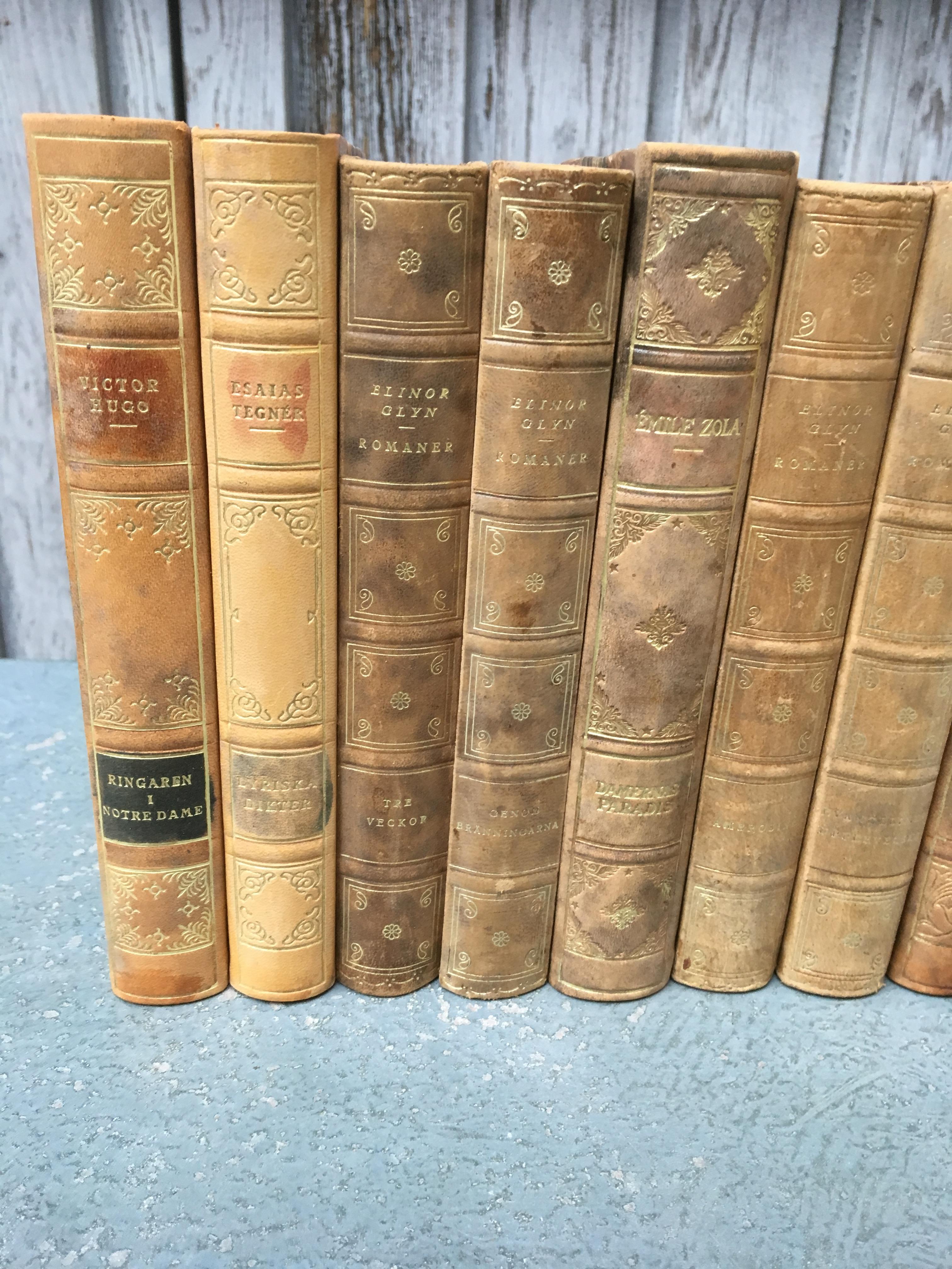 Set of 18 Swedish Leather-Bound Library Books from 1928 In Good Condition In Haddonfield, NJ