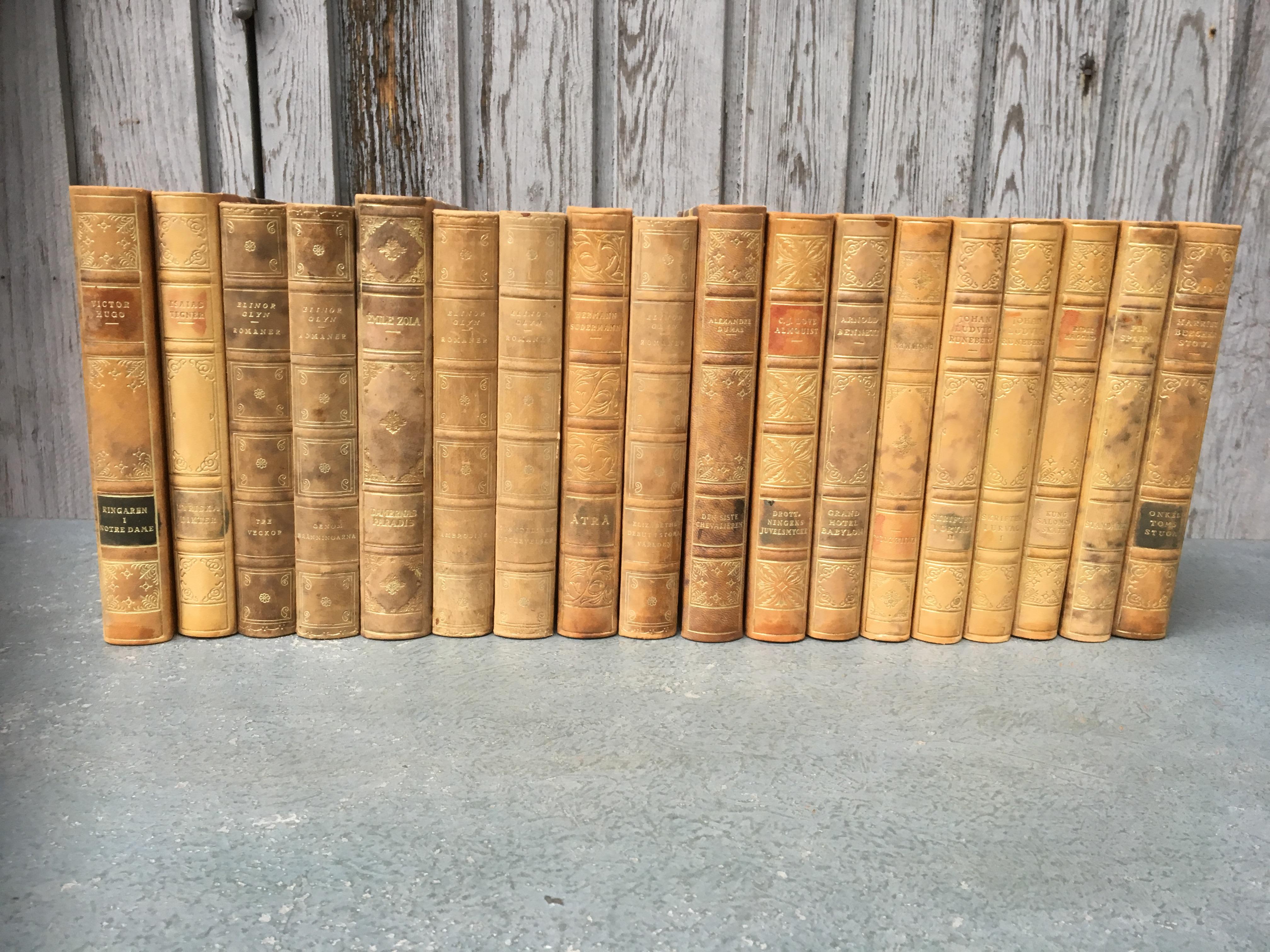 Set of 18 Swedish Leather-Bound Library Books from 1928 1