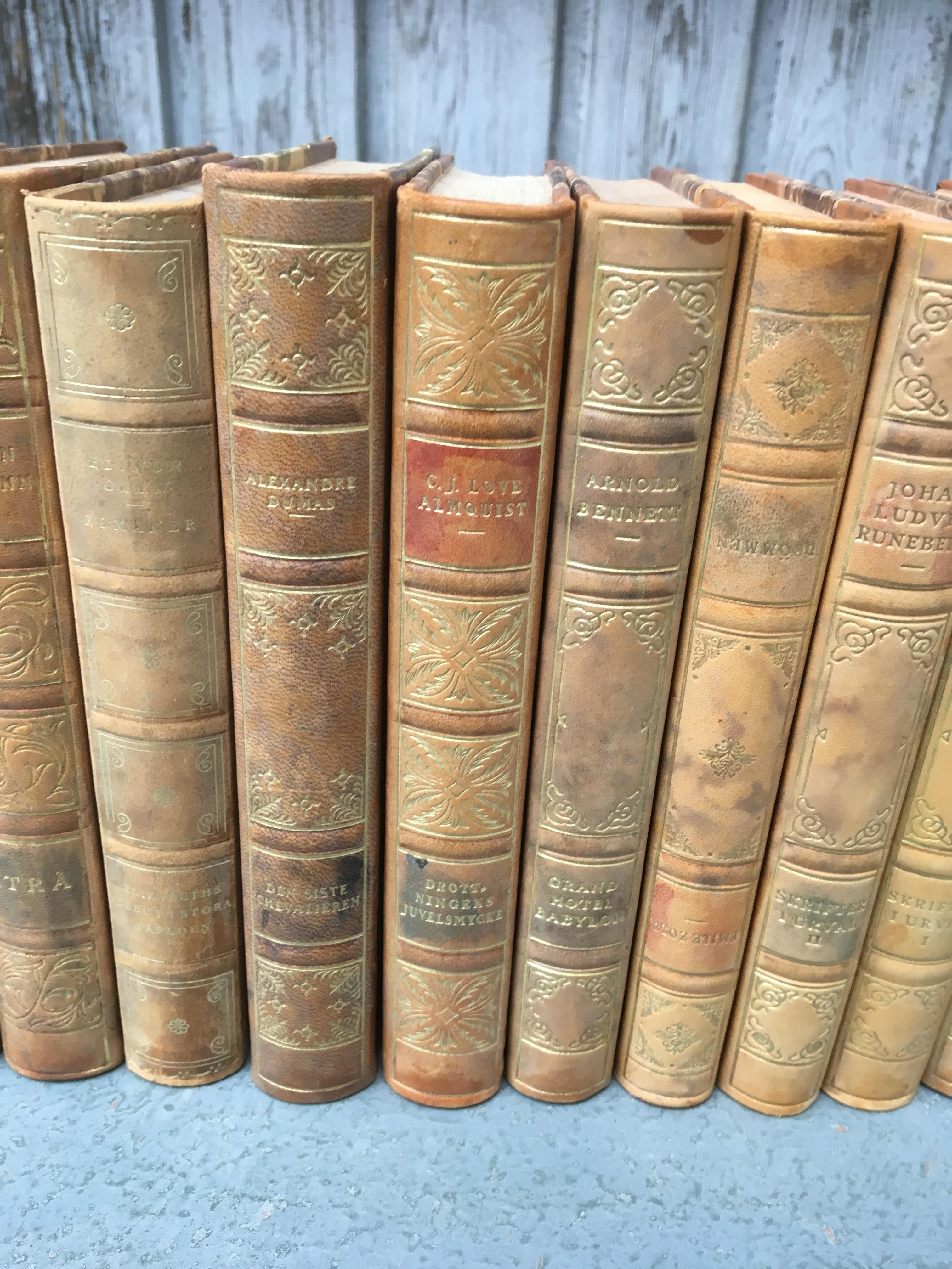 Set of 18 Swedish Leather-Bound Library Books from 1928 2