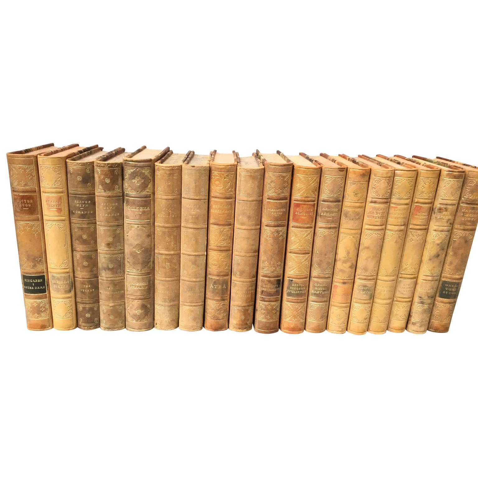 Set of 18 Swedish Leather-Bound Library Books from 1928