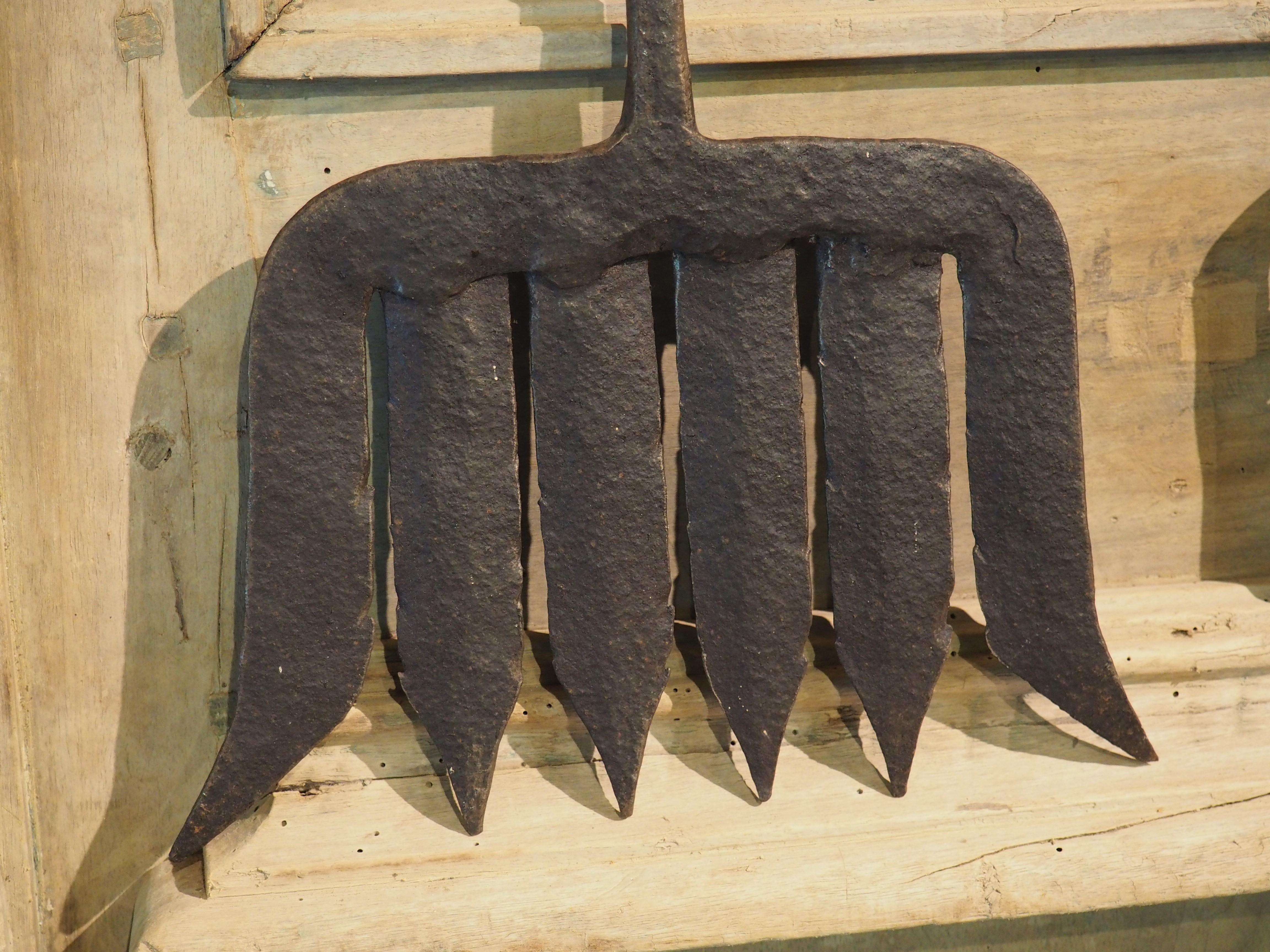 Set of 18th Century Dutch Forged Iron Eel Catchers 7