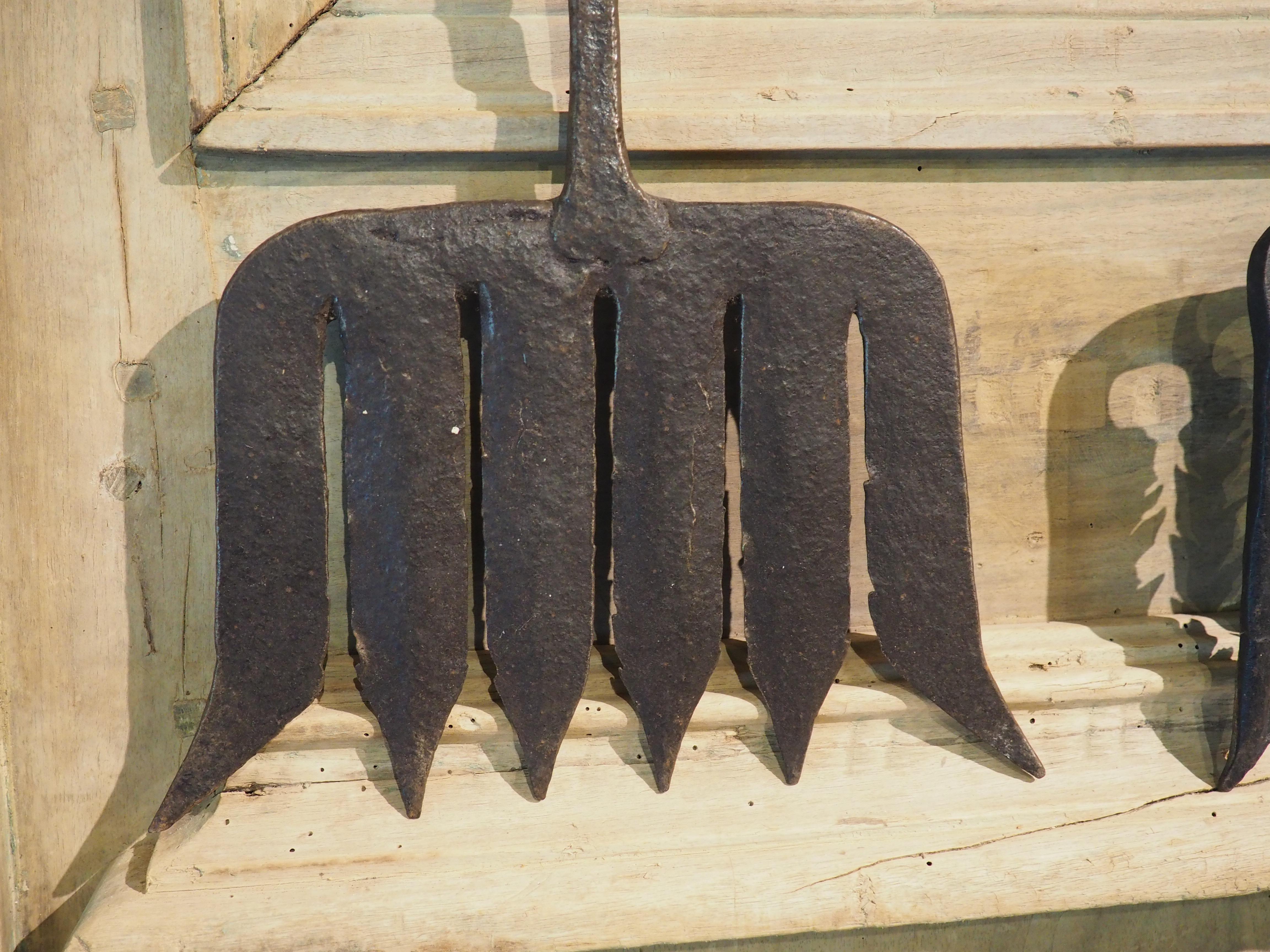 Set of 18th Century Dutch Forged Iron Eel Catchers 2
