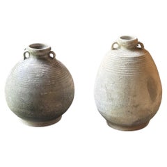 Set of 18th Century Sawankhalok ceramic Shipwreck Jar, Thailand