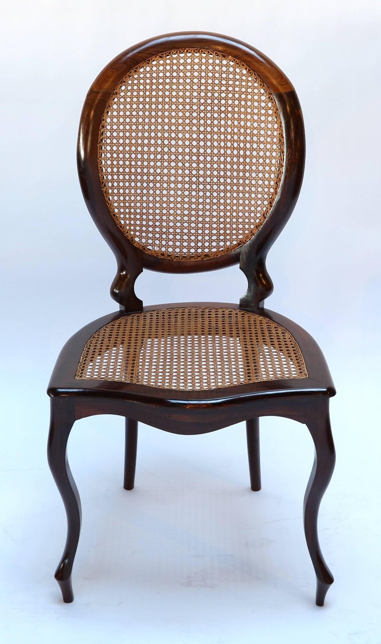 Mid-Century Modern Set of 1940s Brazilian Jacaranda Medallion Cane Dining Chairs For Sale