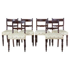 Set of 19th Century Regency Mahogany Dining Chairs