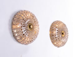 Set di 2 lampade da incasso e da parete in stile Emil Stejnar con vetro floreale e ottone 1950