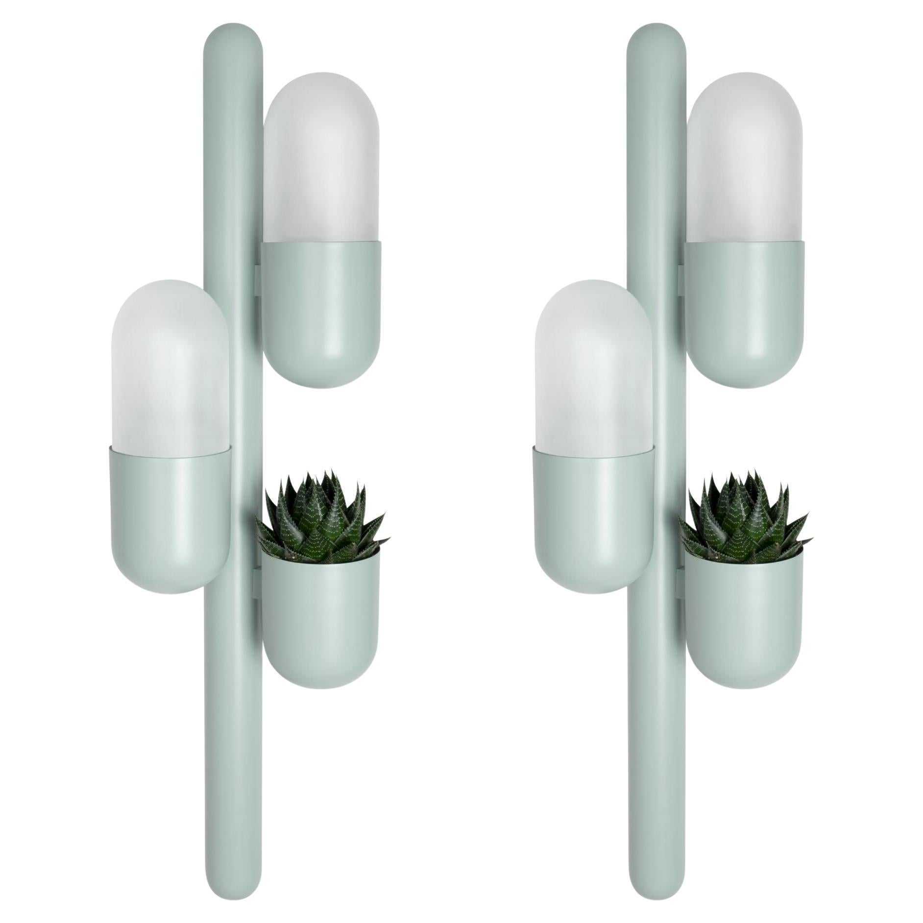 Set of 2 21st Century Cactus Wall Lamp Lacquered Metal Glass by Creativemary For Sale