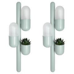 Set of 2 21st Century Cactus Wall Lamp Lacquered Metal Glass by Creativemary
