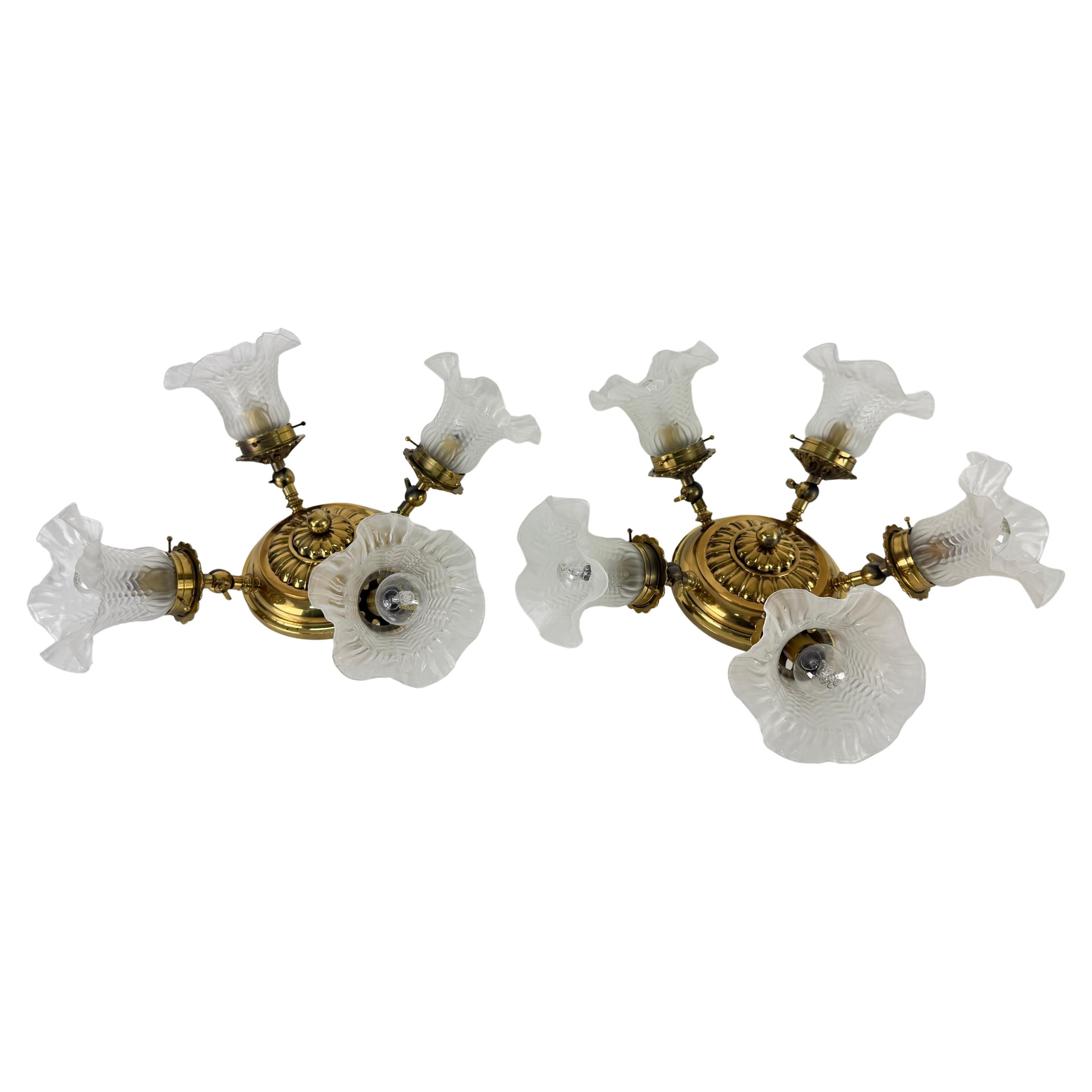 Set of 2 Adjustable Ceiling Lights (4-5 lights) in Brass and Murano Glass, 1960s For Sale