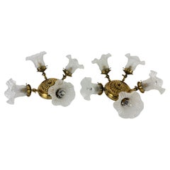 Set of 2 Adjustable Ceiling Lights (4-5 lights) in Brass and Murano Glass, 1960s