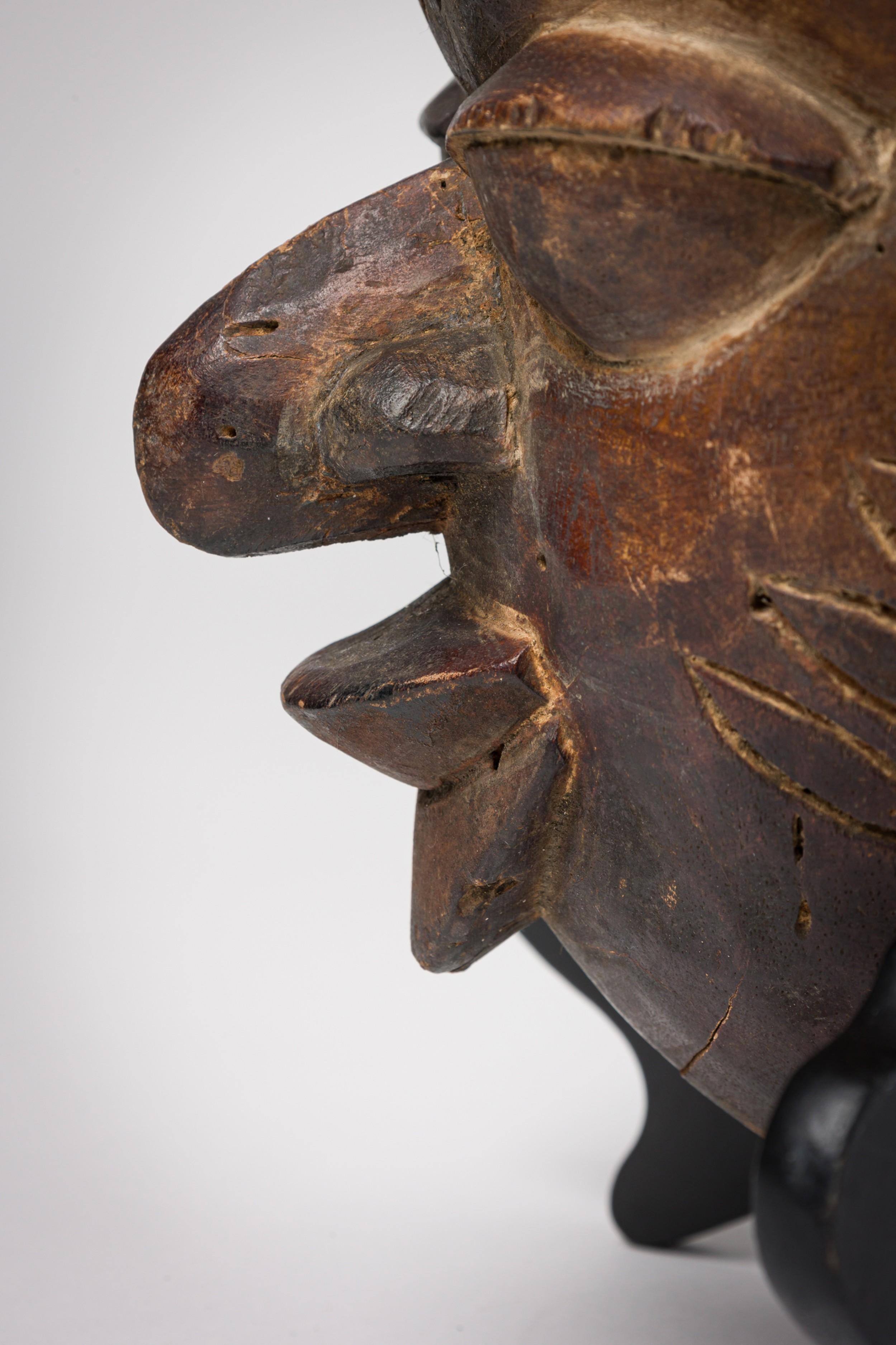 20ième siècle Set of 2 African Cameroon 20th Century Carved Wooden Bamileke Mask with Hornbill en vente