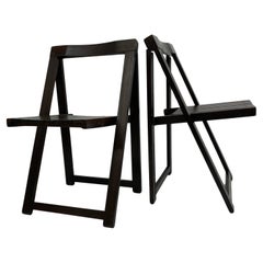 Retro Set of 2 Aldo Jacober for Alberto Bazzani wooden folding chairs, 1960’s
