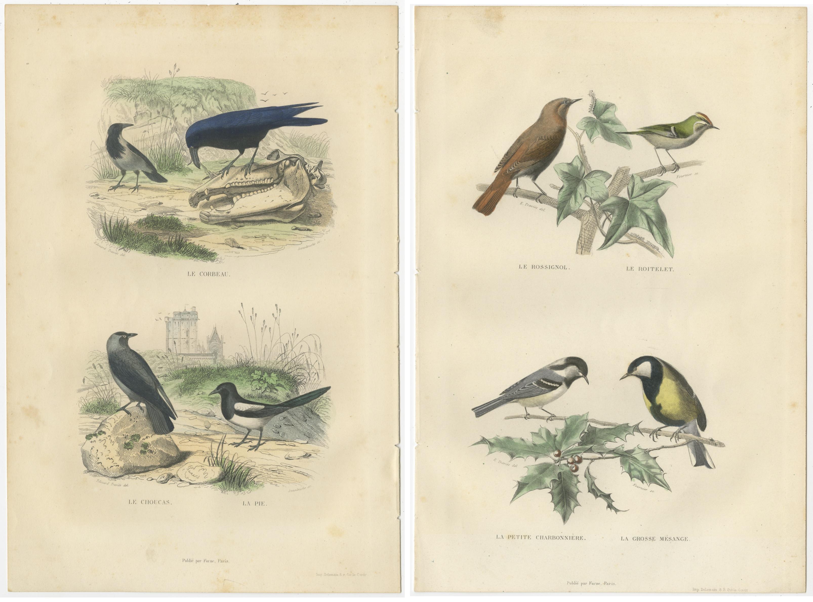 vintage bird prints free