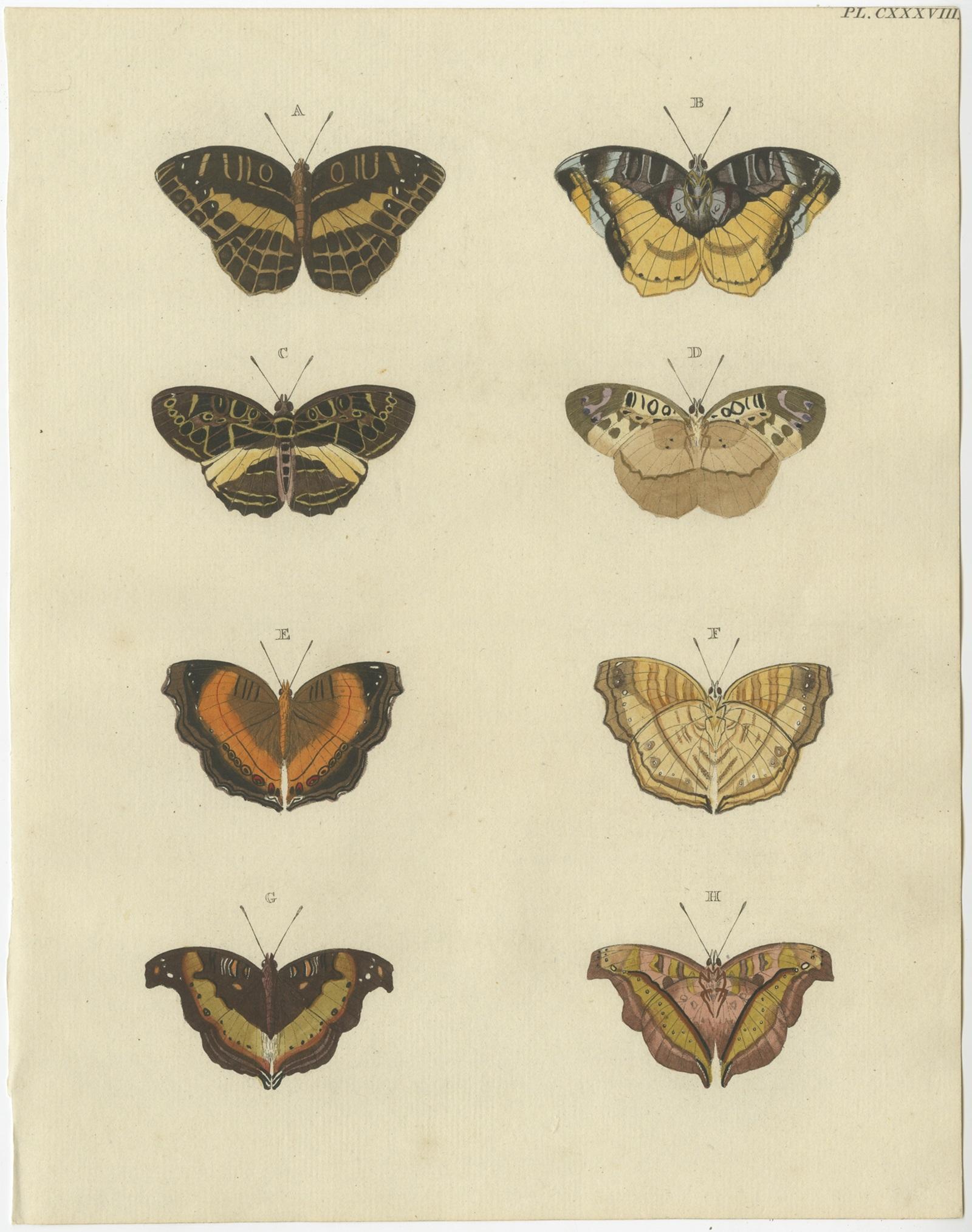 Set of 2 antique entomology prints depicting various butterflies. These prints originate from 'De Uitlandsche Kapellen voorkomende in de Drie Waereld-Deelen Asia, Africa en America - Papillons Exotiques des trois parties du Monde l'Asie, l'Afrique