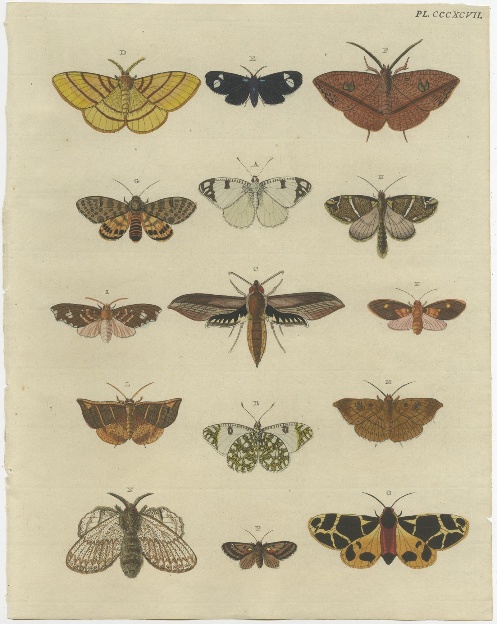 Set of 2 antique entomology prints depicting various butterflies. These prints originate from 'De Uitlandsche Kapellen voorkomende in de Drie Waereld-Deelen Asia, Africa en America - Papillons Exotiques des trois parties du Monde l'Asie, l'Afrique