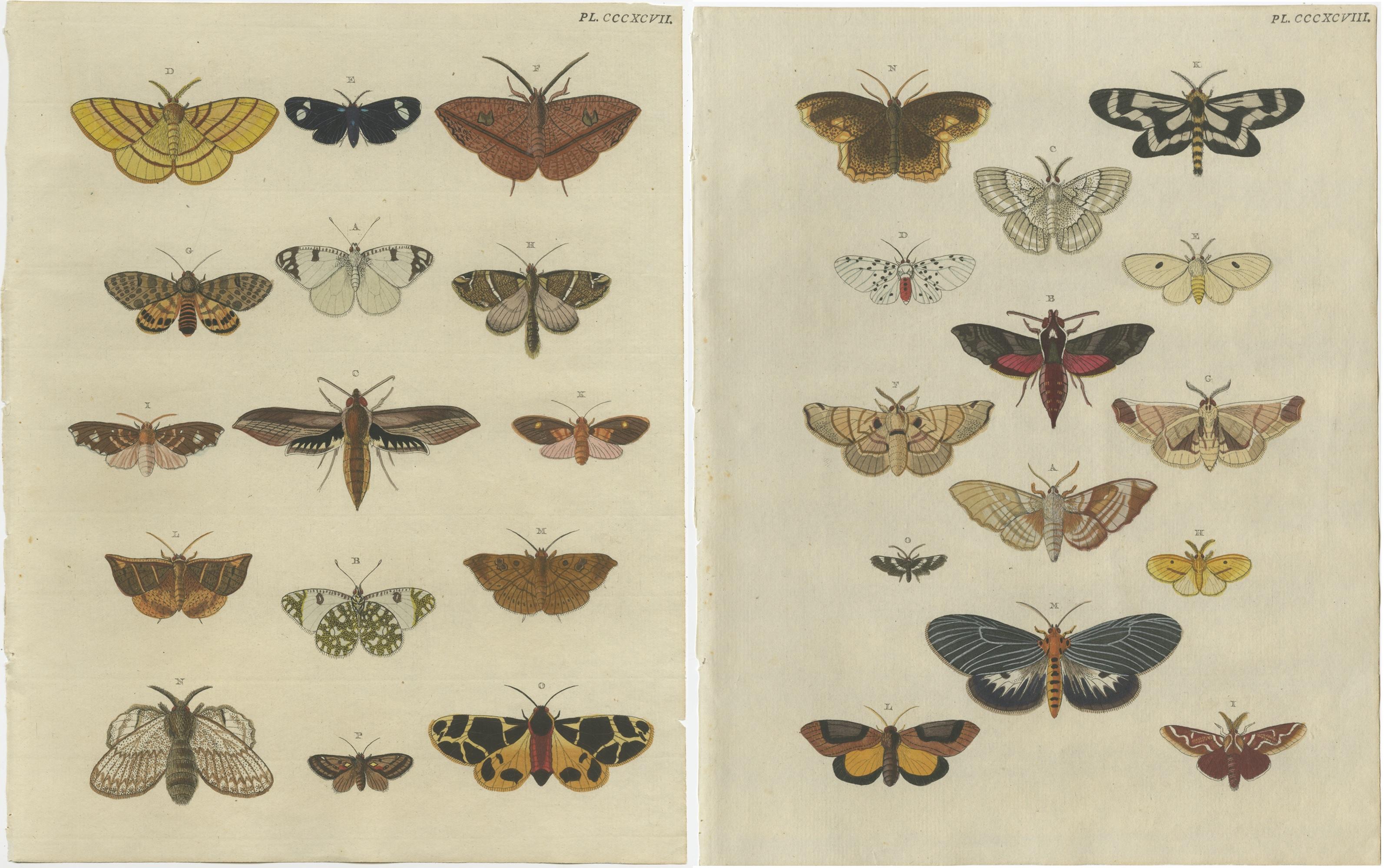 Set of 2 Antique Butterfly Prints 'pl. 397' by Cramer, 1779 In Good Condition For Sale In Langweer, NL