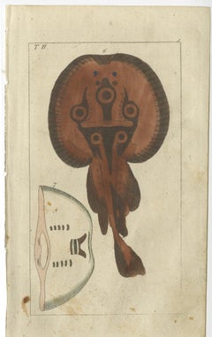 2er-Set antiker Fischdrucke, häufiger Torpedo-ray, Skate, Stachelrohr