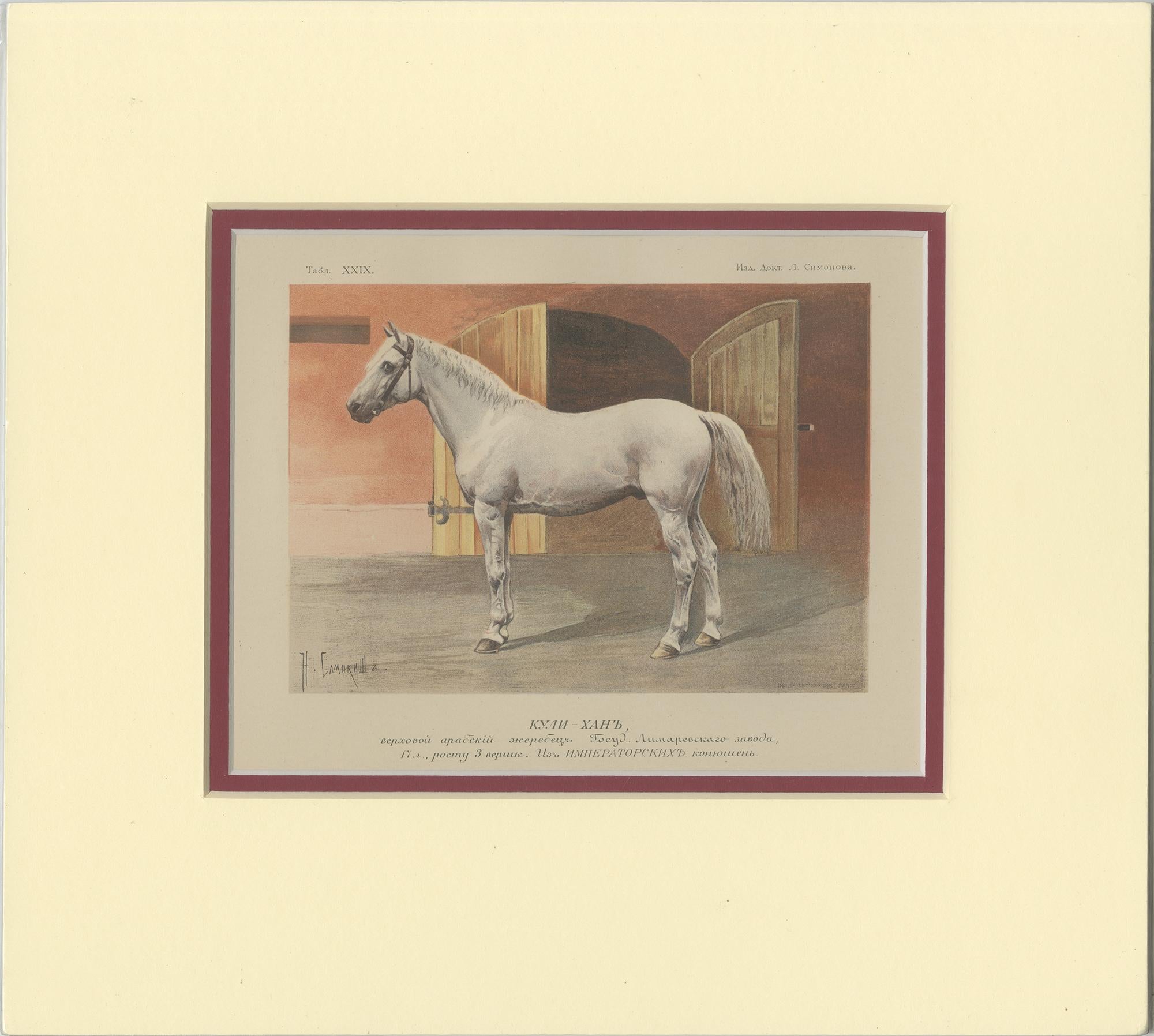 Set of two antique horse prints. These prints originate from a Russian work about horses, published by Simonov & Merder, 1895. The prints were lithographed after drawings by Samokish and Bunin.