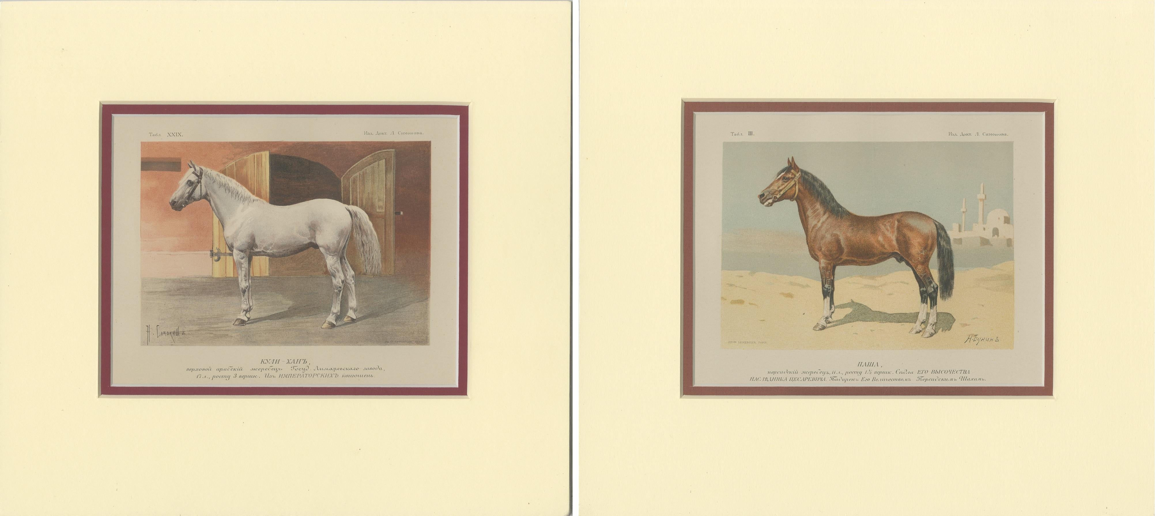 XIXe siècle Ensemble de 2 estampes anciennes de chevaux par Simonov en vente