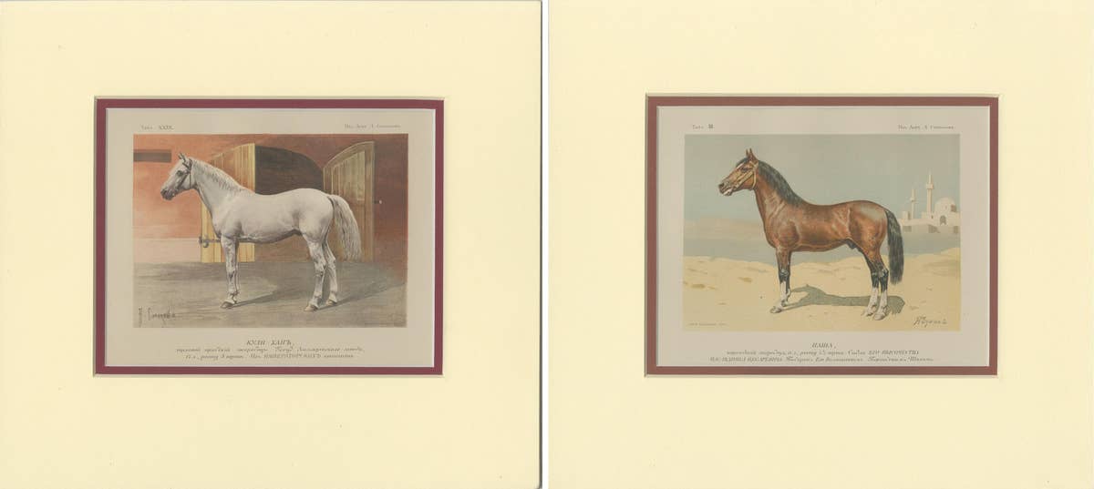 Set of 2 Antique Horse Prints by Simonov