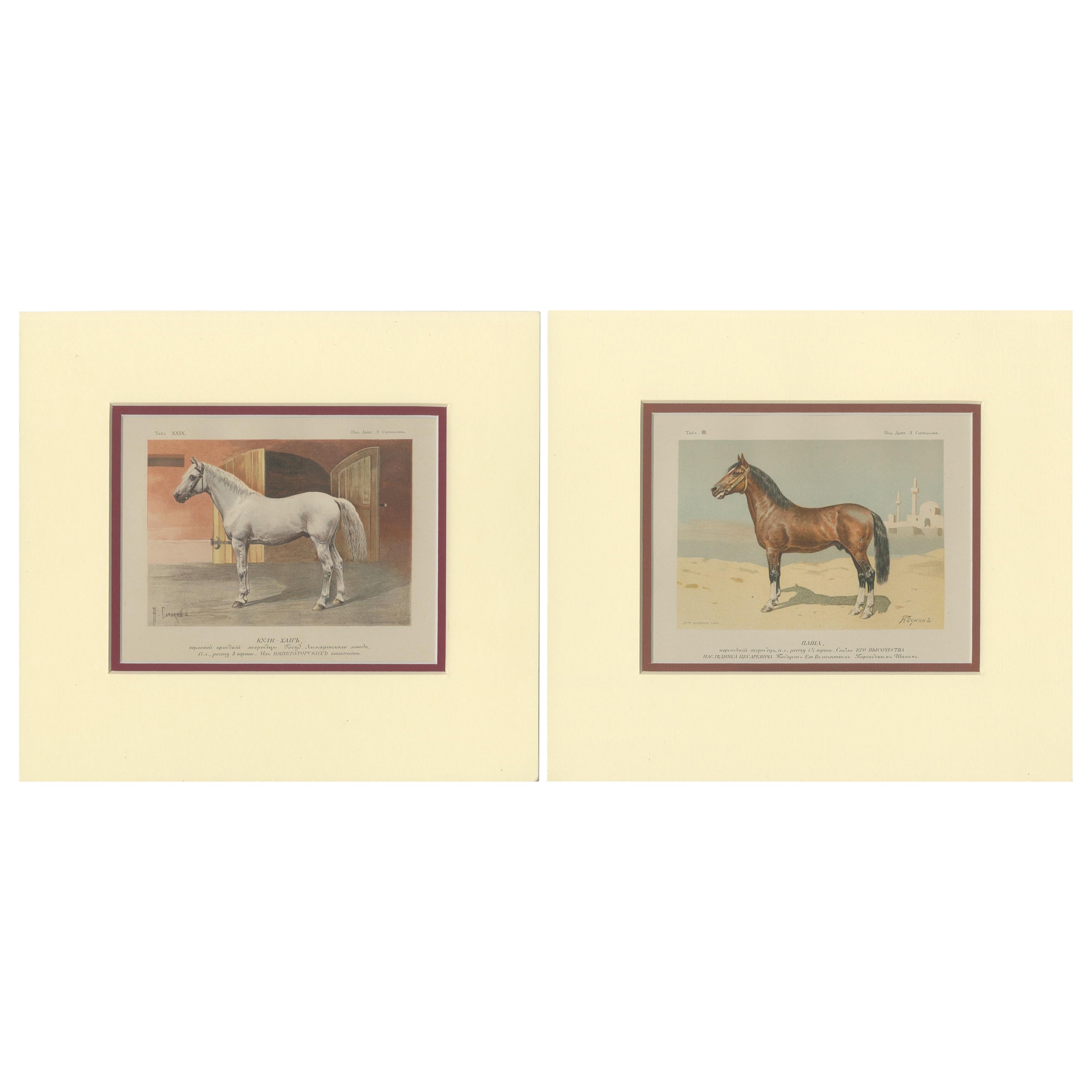 Ensemble de 2 estampes anciennes de chevaux par Simonov