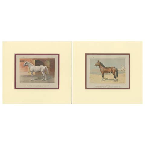 Set of 2 Antique Horse Prints by Simonov