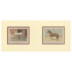 Ensemble de 2 estampes anciennes de chevaux par Simonov