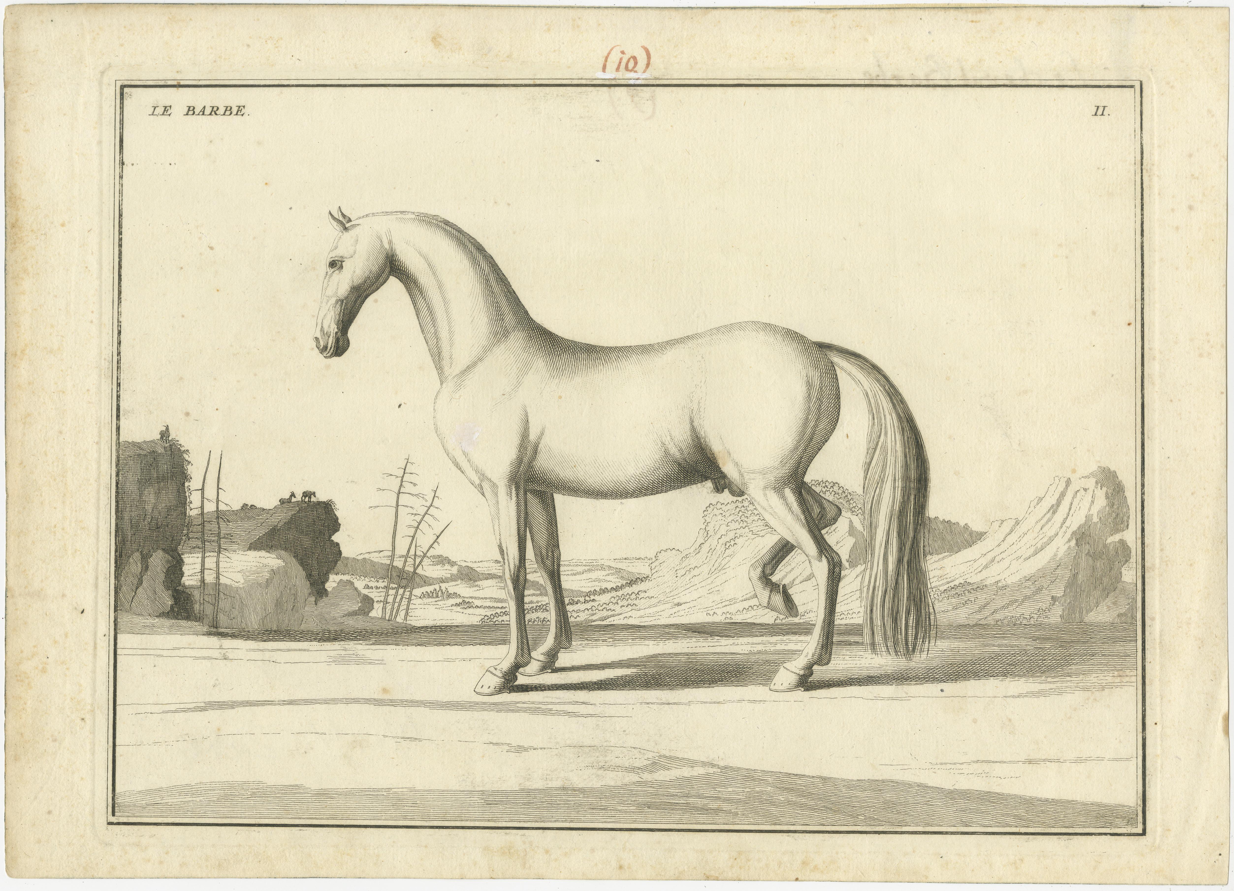 Set of 2 Antique Horse Prints:  l'Arabe & Le Barbe In Fair Condition For Sale In Langweer, NL
