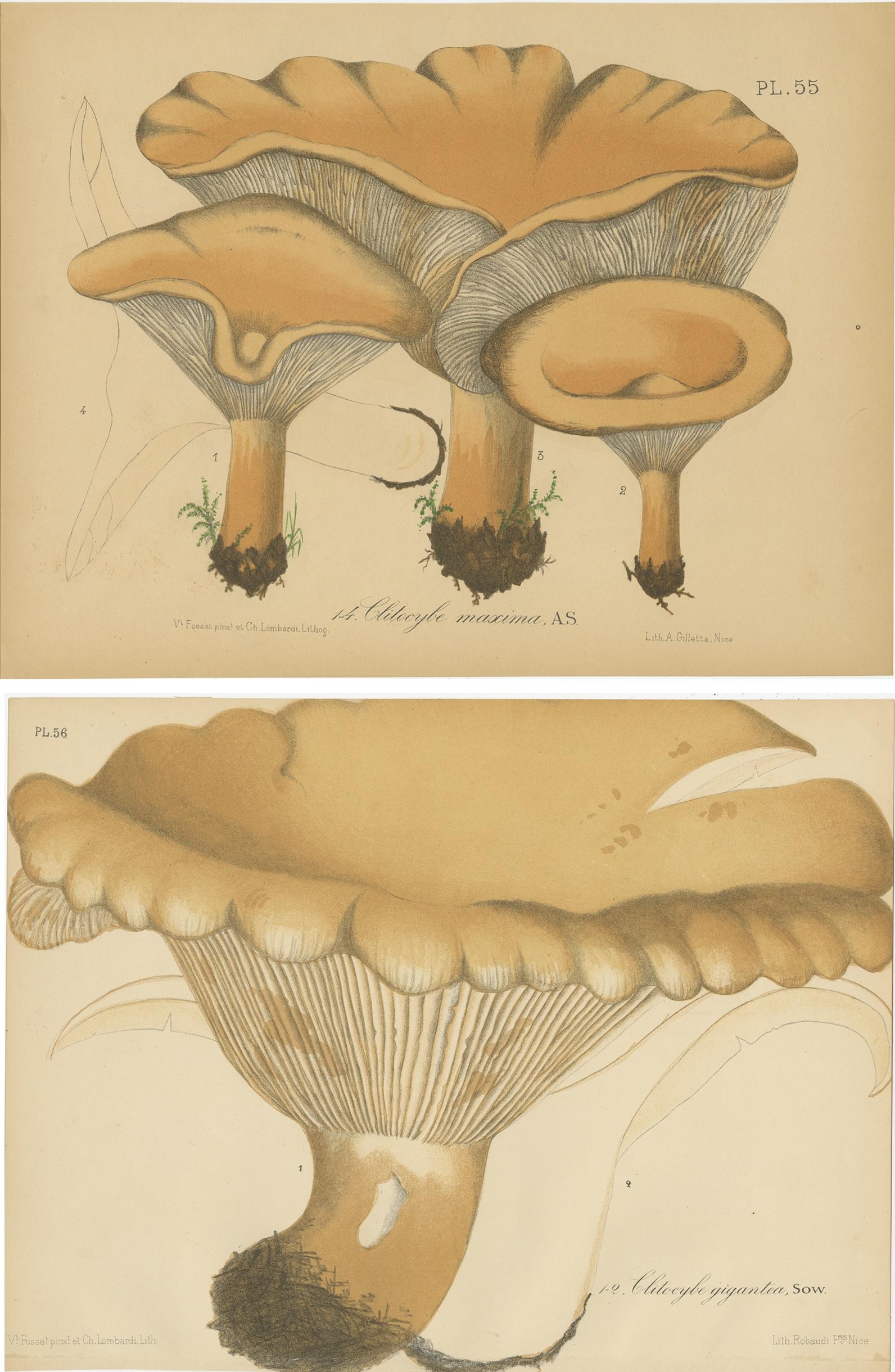 XIXe siècle Ensemble de 2 estampes anciennes de mycologie de divers Fungi par Barla, vers 1890 en vente