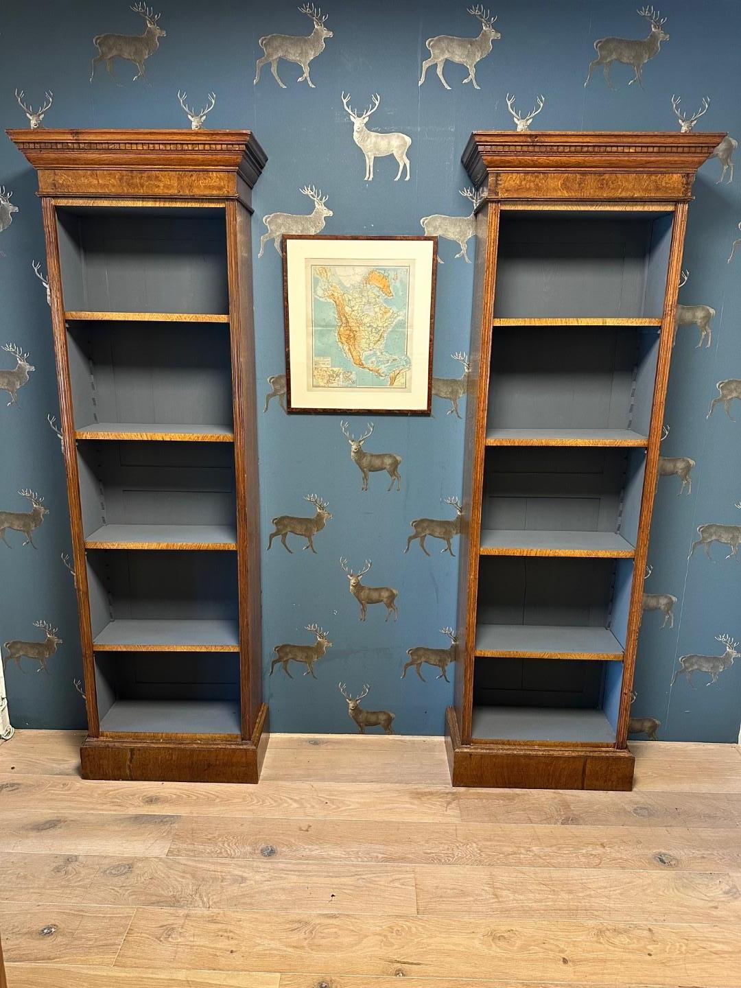 Début du 20ème siècle ensemble de 2 bibliothèques ouvertes antiques en vente