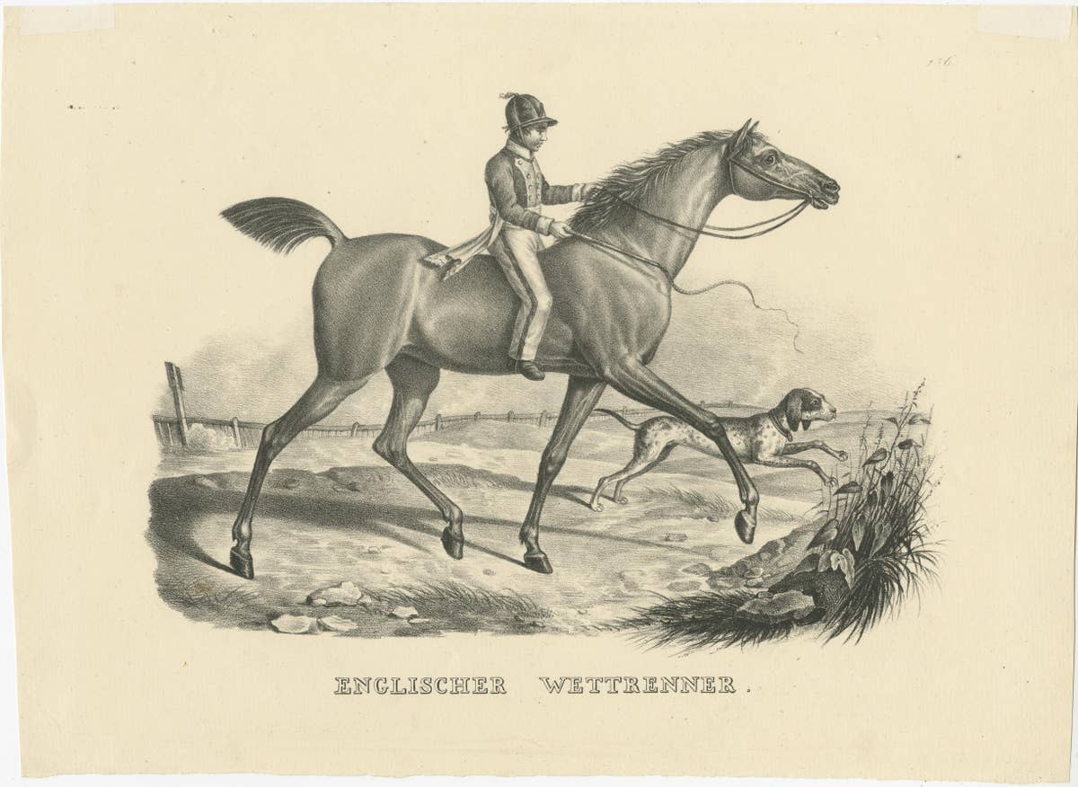 Set of 2 Antique Prints of English Horses