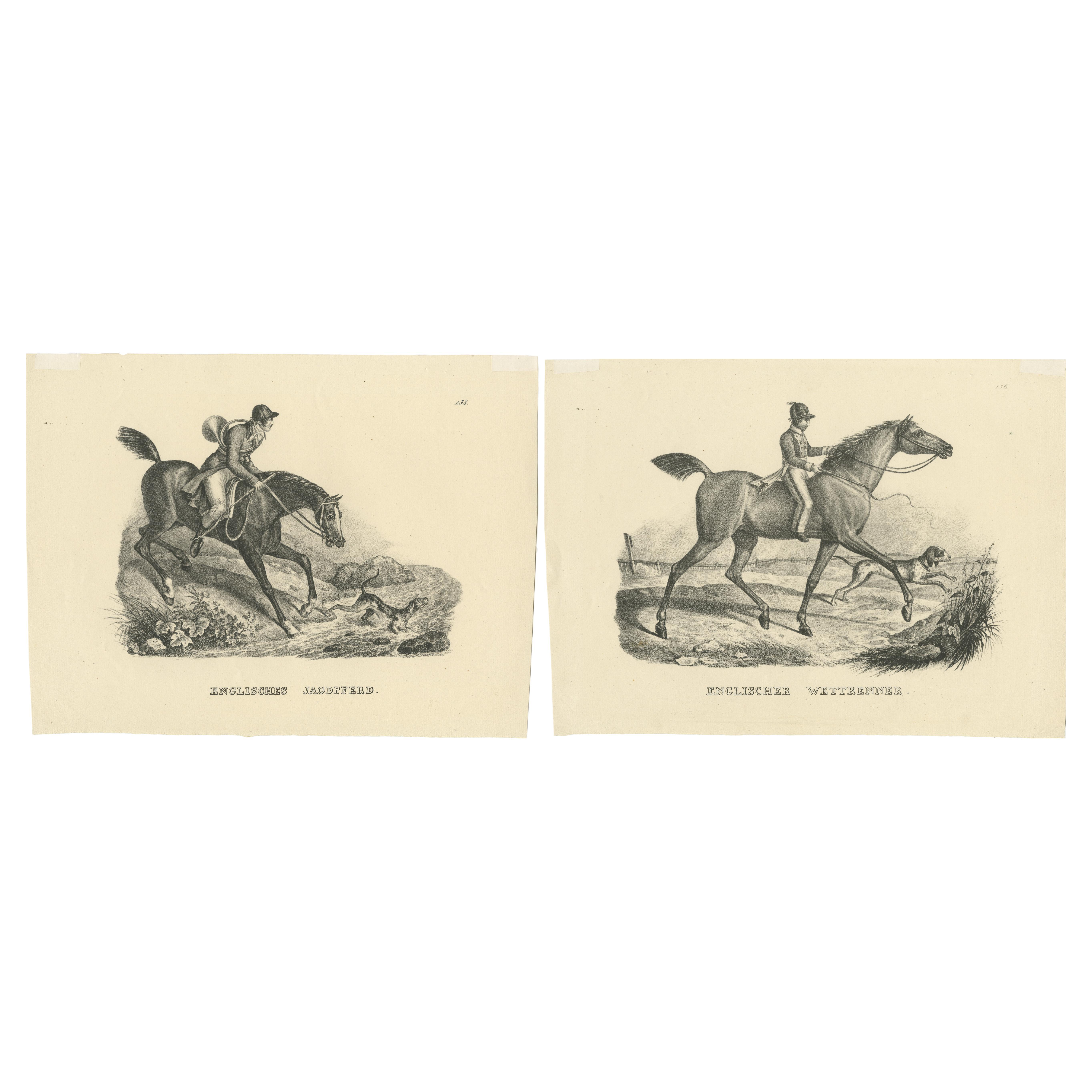 Set of 2 Antique Prints of English Horses For Sale