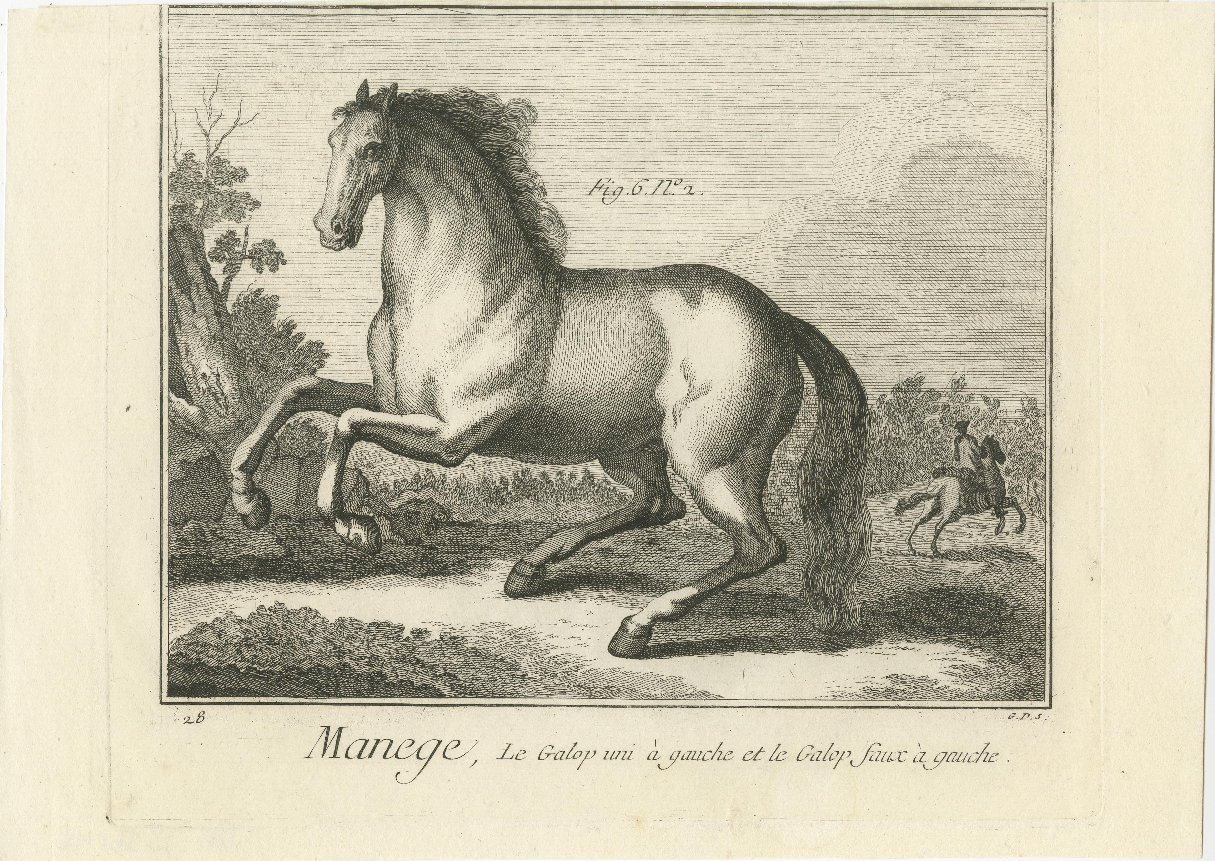 Gravé Ensemble de 2 estampes anciennes d'équitation de chevaux : United Gallop & Disunited Gallop  en vente