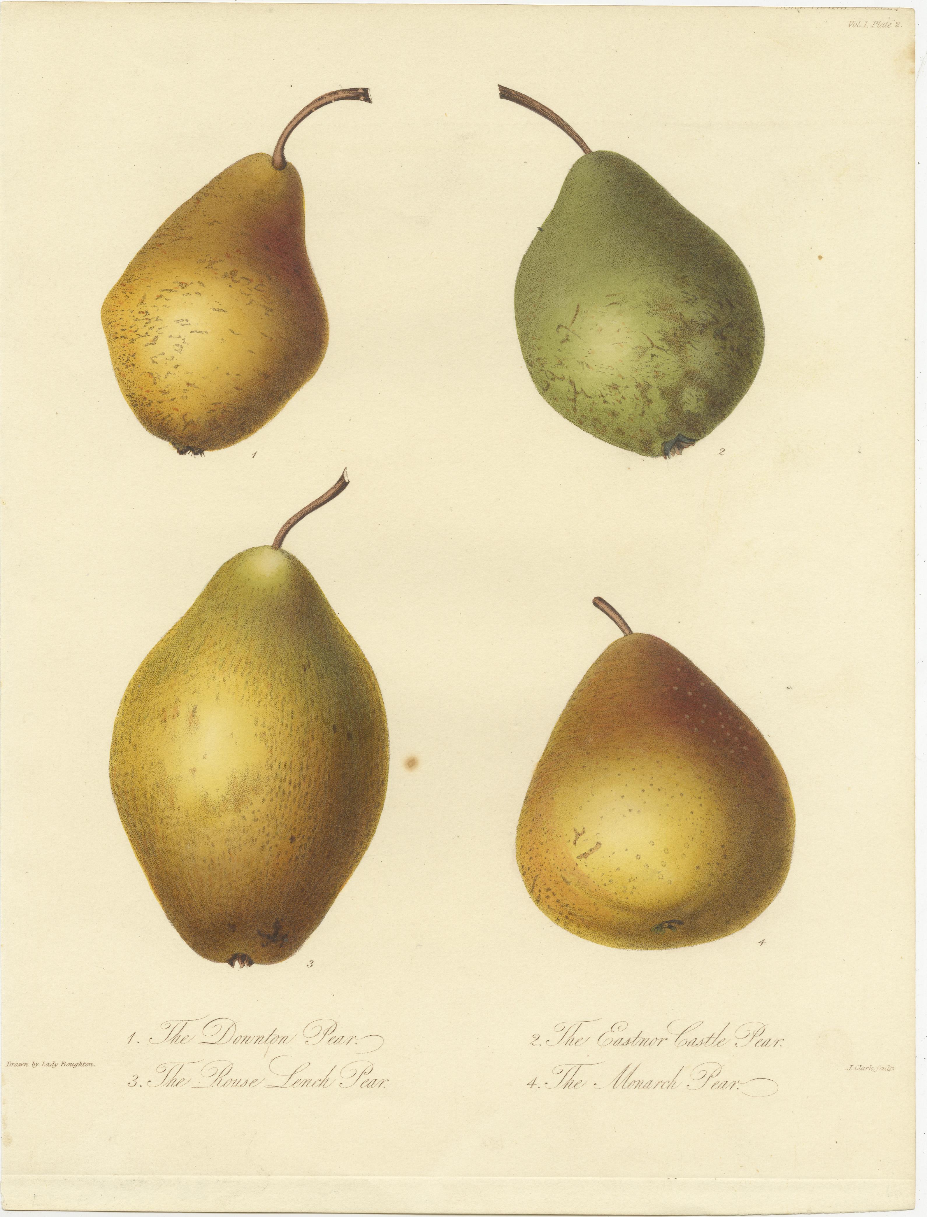 Set of 2 antique prints of pears. It shows the Downton Pear, Rouse Lench Pear, Eastnor Castle Pear, Monarch Pear, Doyenne Gris, Bezy de la Motte, Orange d'hiver and Beurrée Rance. These prints originate from 'Transactions of the Horticultural