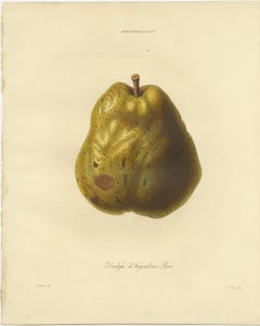 Set of 2 Antique Prints of the Duchesse d'Angouleme Pear and Others