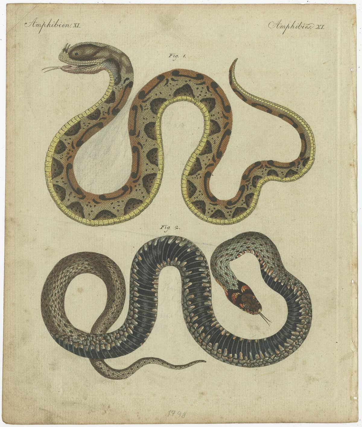 Set of 2 Antique Prints of Various Snakes by Bertuch, circa 1800