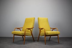 Set di 2 poltrone Antonin Šuman, anni '60