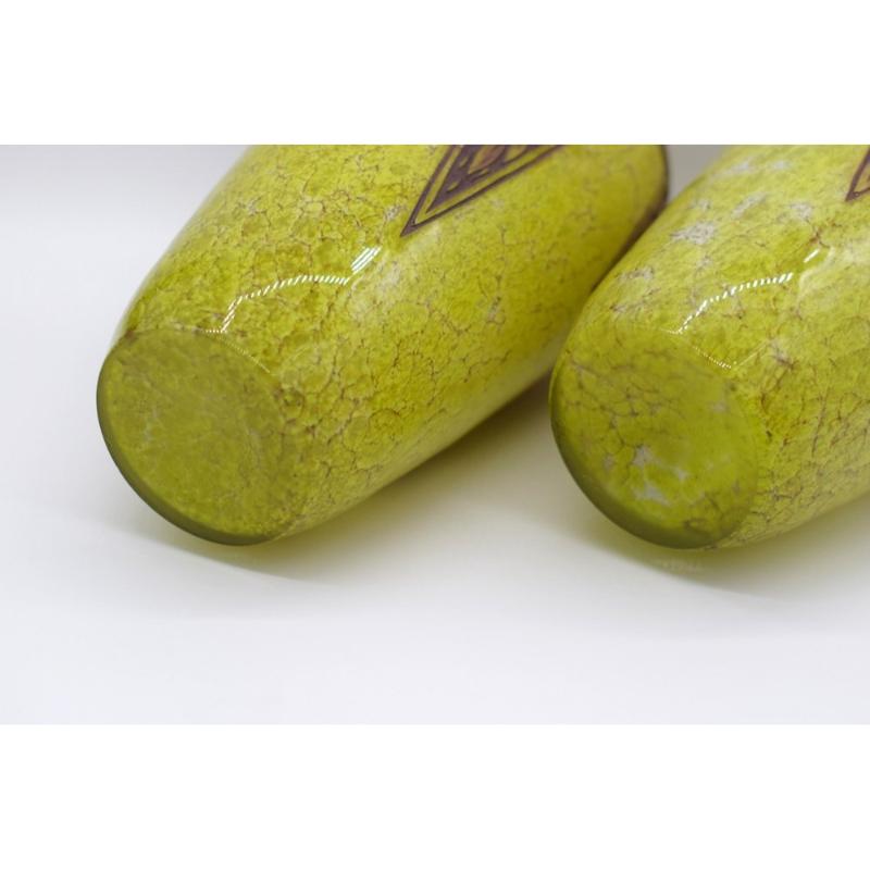 Set of 2 Art Deco Ovoid Vases by F-T Legras, 1920s For Sale 9