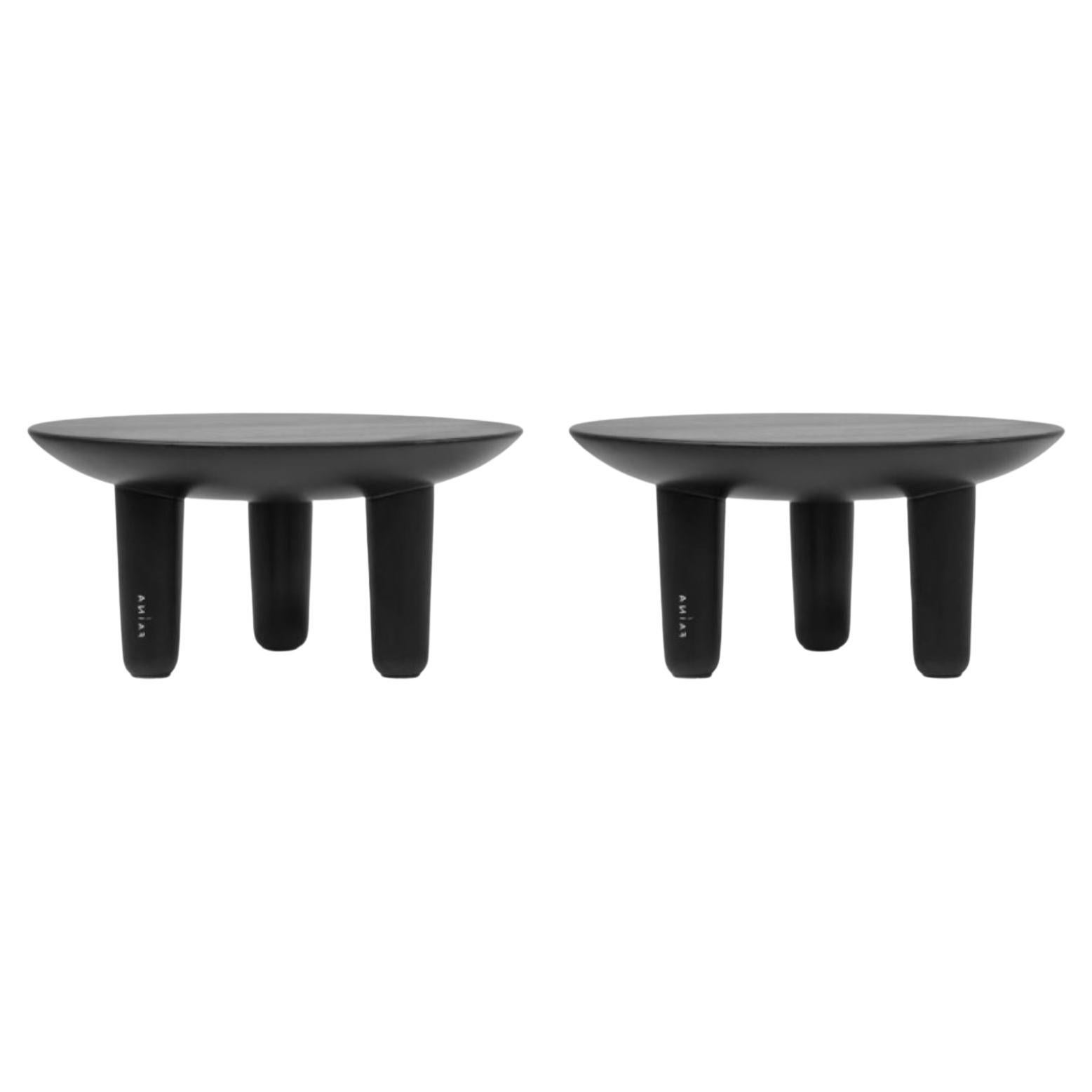 Set of 2 Ash Contemporary Coffee Tables by Faina