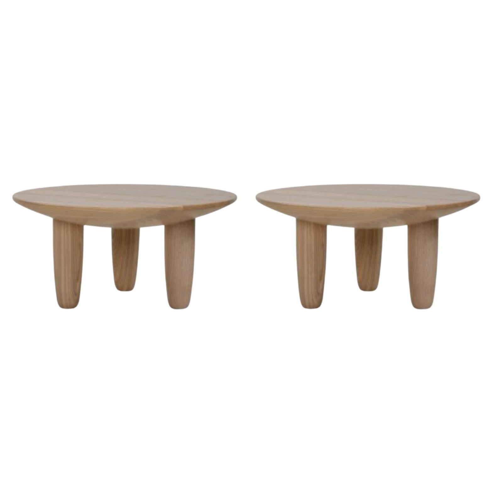 Set of 2 Ash Contemporary Coffee Tables by Faina