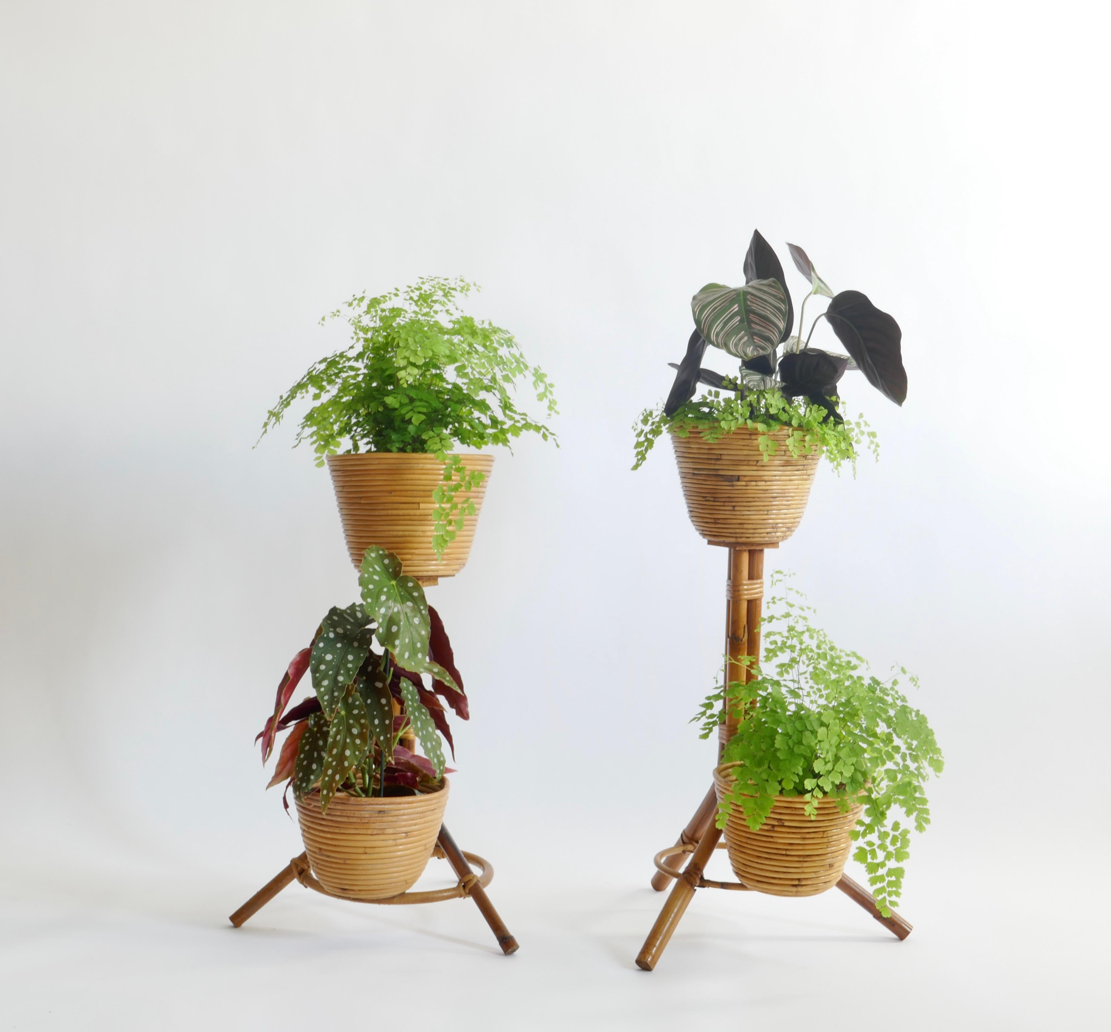 Two very decorative plant holders. Each stand holds 2 plants.
They are slightly different in measurements :
1- W 30 x D 23 x H 64cm
2- W 30 x D 22 x H 69cm

Italy, 1950s.