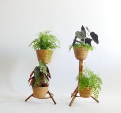Ensemble de 2 porte-plantes en bambou et rotin, Italie, années 1950