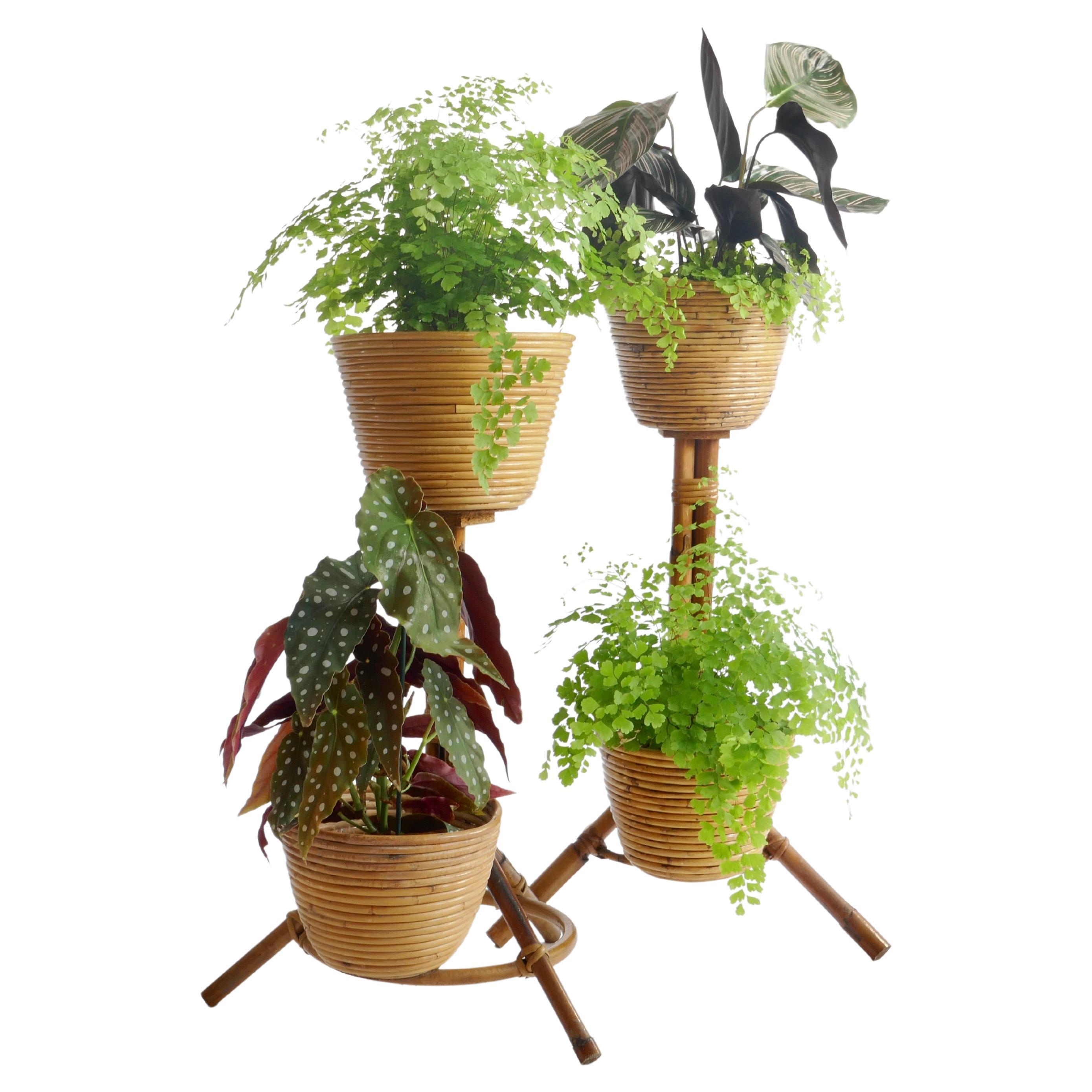 Set of 2 Bamboo and Rattan Plant Holders, Italy 1950s For Sale at 1stDibs