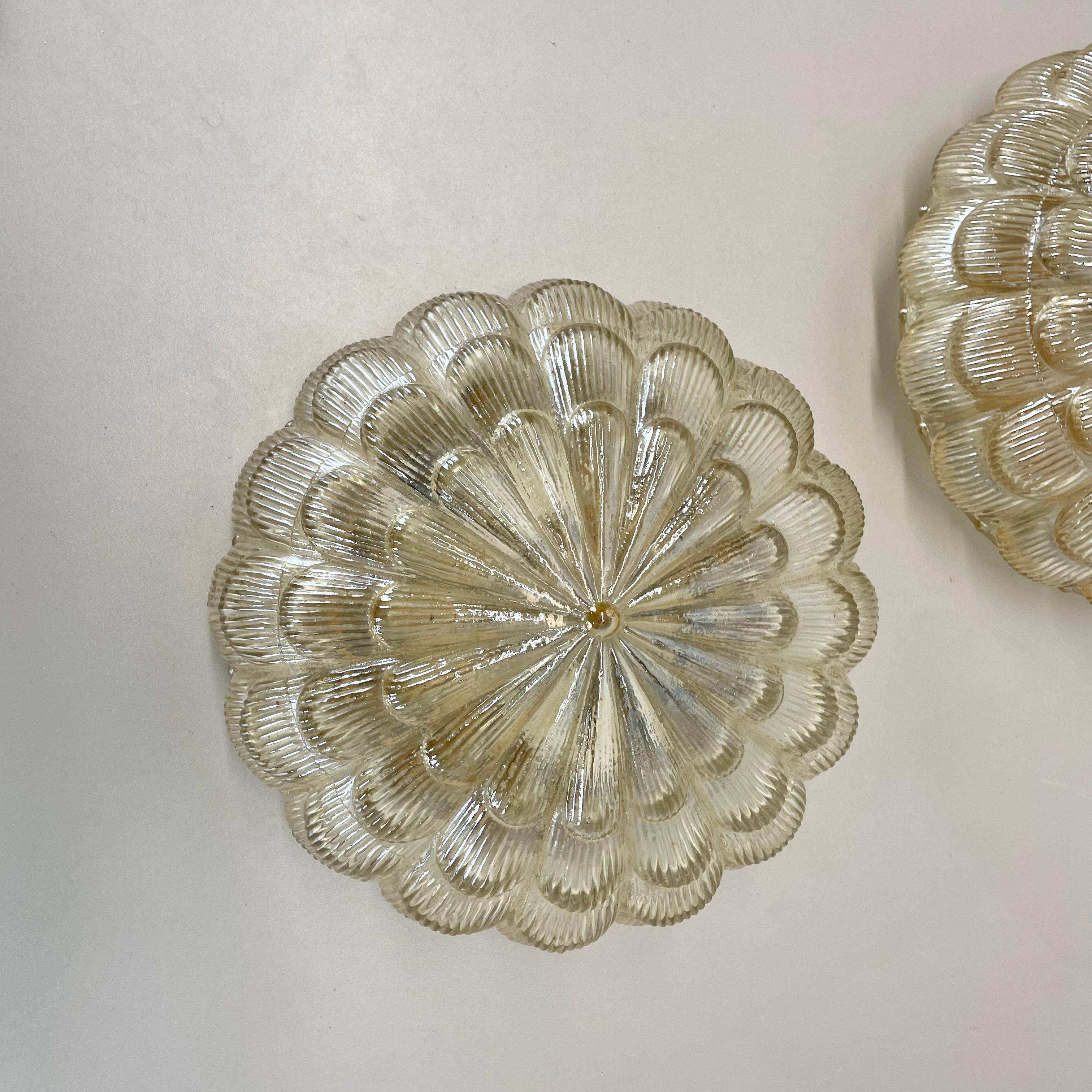 lote de 2 preciosos Plafones de Pared de cristal ámbar texturizado de 31 cm, Alemania, años 70 Alemán en venta