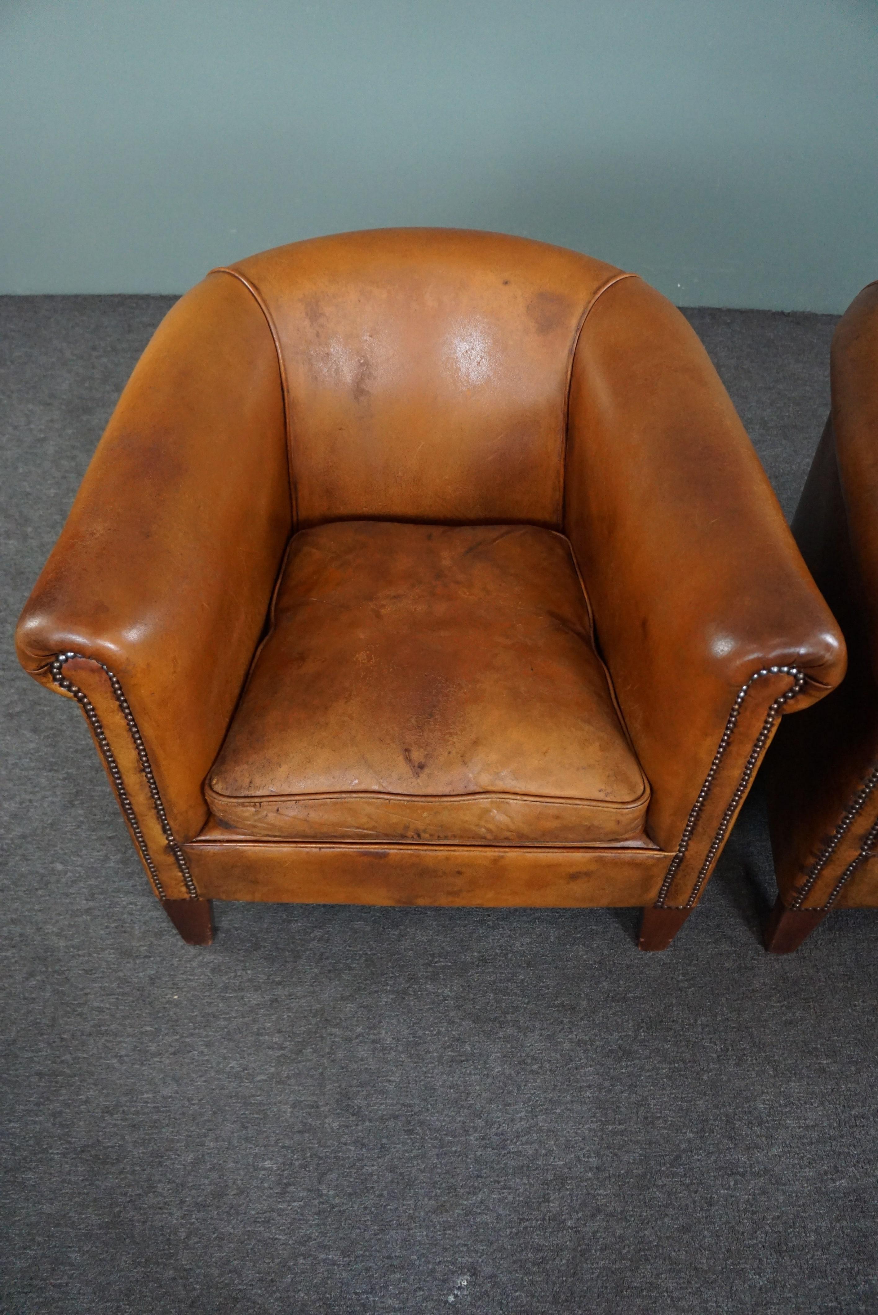 Set of 2 beautiful sheep leather club chairs In Fair Condition For Sale In Harderwijk, NL